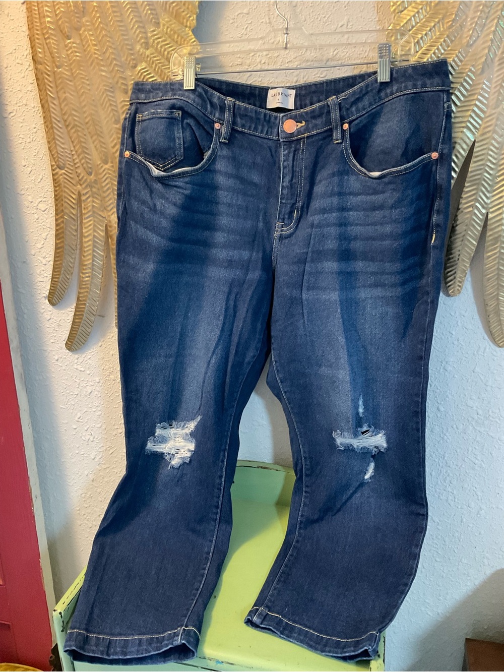 Lane Bryant Distressed Signature mid rise, slim straight ankle